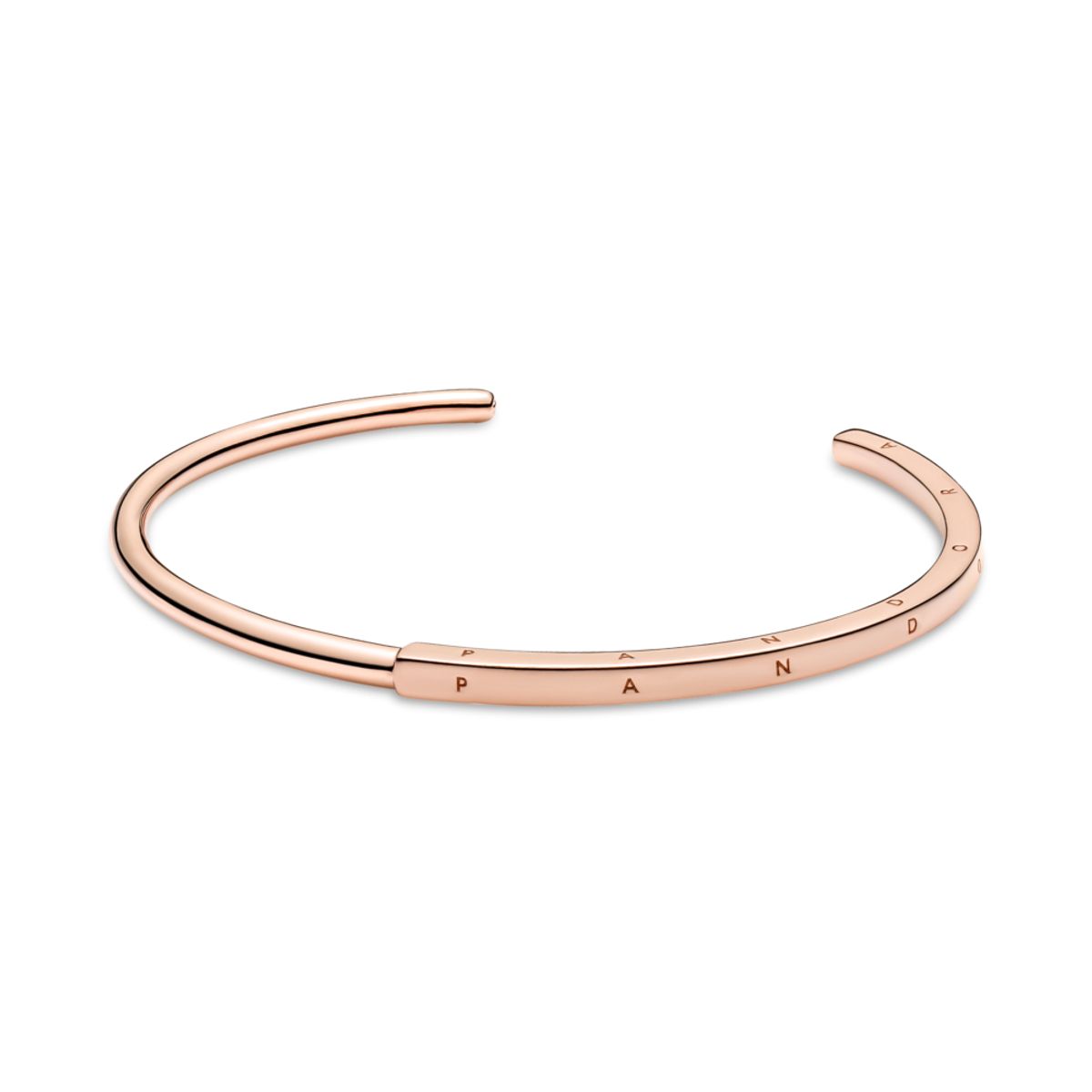 PANDORA náramek Signature 1-D  1